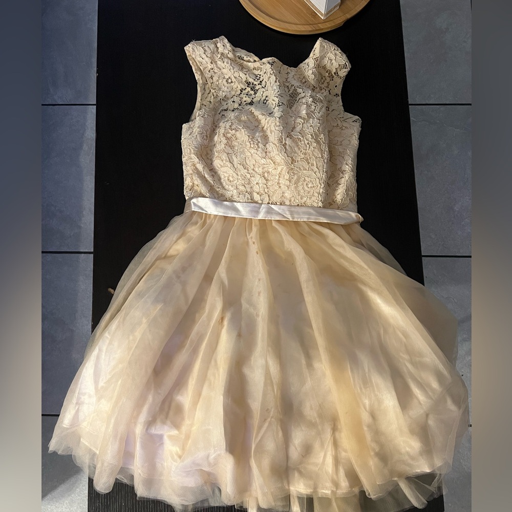 Elegant Lace Dress
